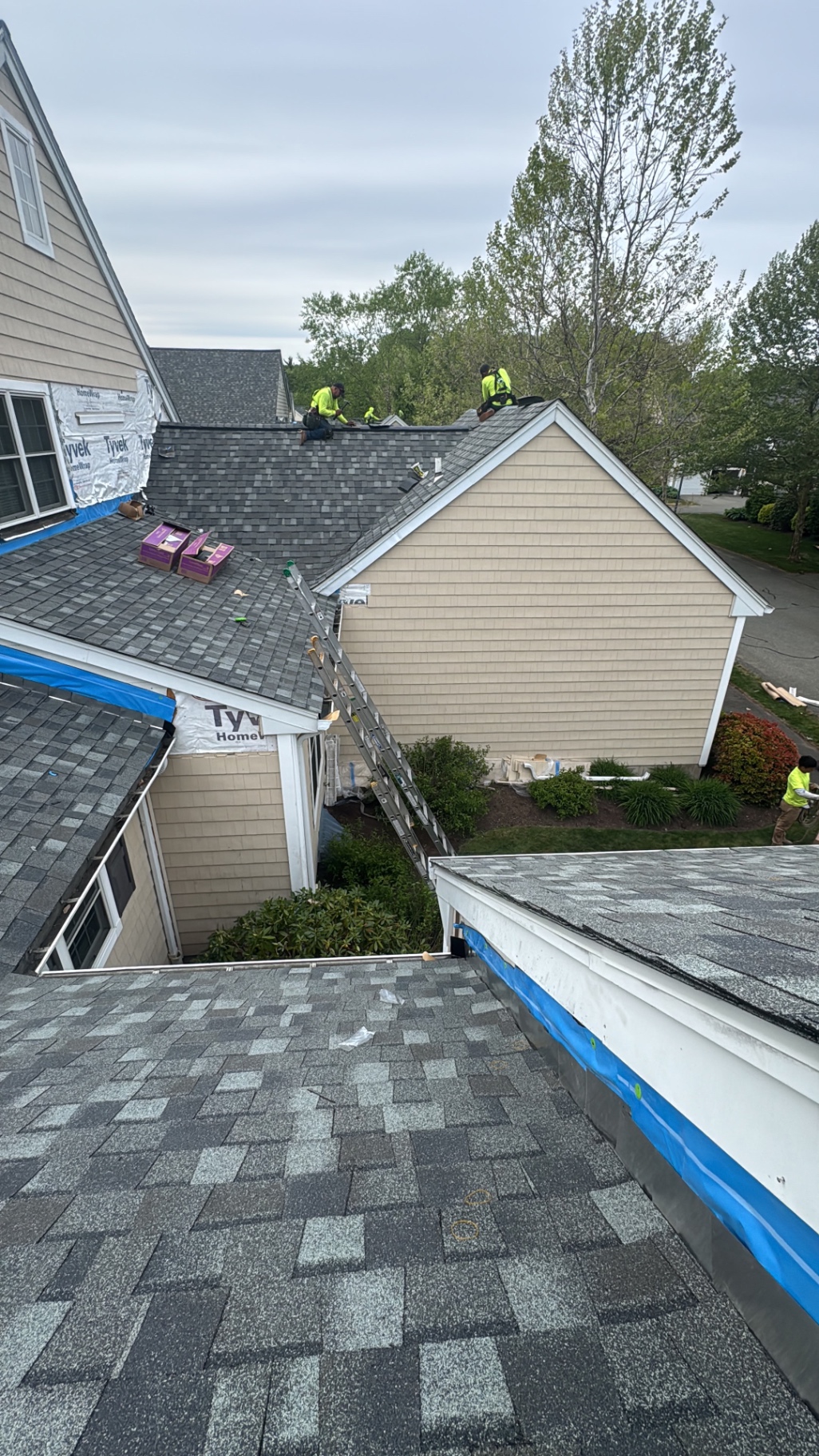 Architectural shingles — multi-unit